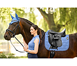 oornetje Mesh-technologie