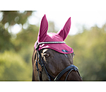 oornetje Mesh-technologie