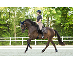 oornetje Signature III