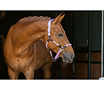 anatomisch halster Sophistication