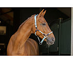 anatomisch halster Sophistication