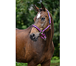 halster Swiss Design II