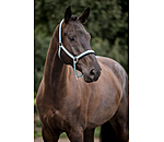 halster Swiss Design II