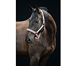 halster Essential II