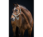 halster Essential II