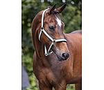 halster Essential II