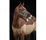 halster Essential II