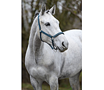halster Twinkle