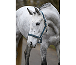 halster Twinkle