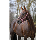halster Twinkle