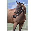 halster Twinkle