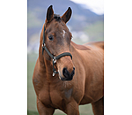 halster Twinkle