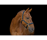 halster Twotone & Crystal