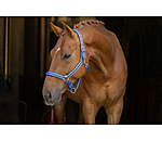 halster Twotone & Crystal