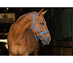 halster Twotone & Crystal