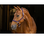 halster Twotone & Crystal