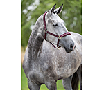 halster Signature III