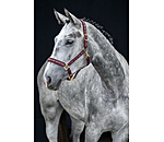 halster Signature III