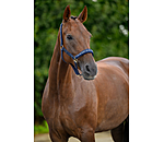 halster Signature III