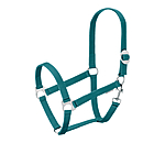 atlantisch-groen