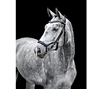 Mix & Match geoliede lederen neusriem Revolution