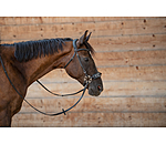 Mix & Match geolied lederen kopstuk bitloos