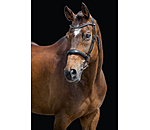 hoofdstel Alaska met afneembare kinriem