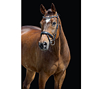 hoofdstel Alaska met afneembare kinriem