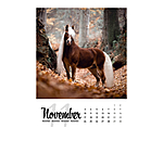 Paardenkalender 2024