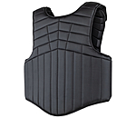 bodyprotector Panel Fit