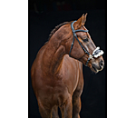 hackamore imitatiebont