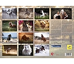 Horses Kalender 2024