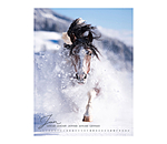 Kalender paardenliefde 2024