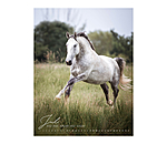 Kalender paardenliefde 2024