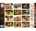 Grooms kalender