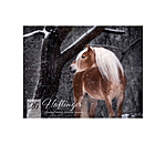 Haflinger Kalender 2026