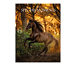 Special Moments Kalender 2025