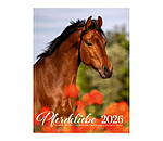 Pony kalender 2025
