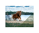 Pony kalender 2024