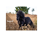 Pony kalender 2024