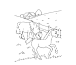 Mijn dikke kleurboek - Paarden