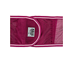 vliegen uitrijdeken Economy Light