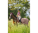 vliegen uitrijdeken Economy Light