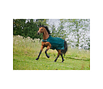 vliegenbeschermende Walker Economy Light