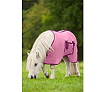 veulen- en minishetland vliegendeken Kubi Fly