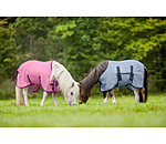 veulen- en minishetland vliegendeken Kubi Fly