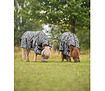 zebra vliegendeken Combo