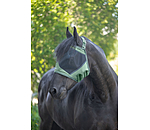 vliegenmasker Ear-Free