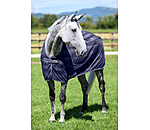 vliegendeken Economy Light