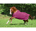 vliegendeken Economy Light